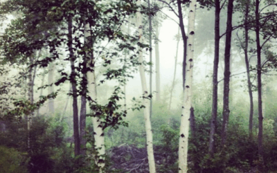 Why we should study our Faith