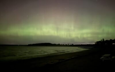 St Francis Follows the Lord Home and Leaves a Trail